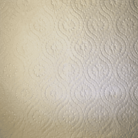 paper towel GIF by xavieralopez
