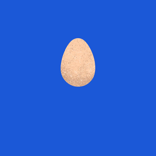 egg GIF by Jonah Ainslie