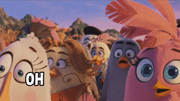 Oh My God Omg GIF by Angry Birds