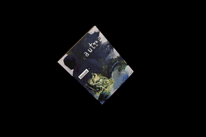 denisesnault irreverent xi : l'autre GIF