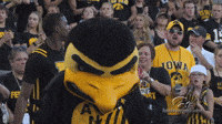 theiowahawkeyes-football-iowa-3o7aCPJPvbM9itaQYE