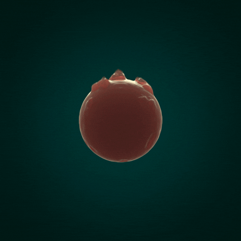 Mascista liquid melting sphere mascista GIF