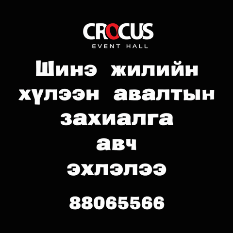 erkhembayartsogtsaikhan crocus new year GIF