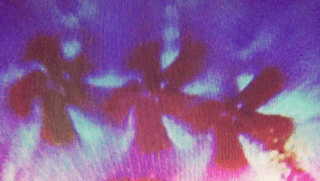 200.gif?cid=fc005b0850500433533567ec7ede14f1f148e1e757764dc6&rid=200.gif&ct=g