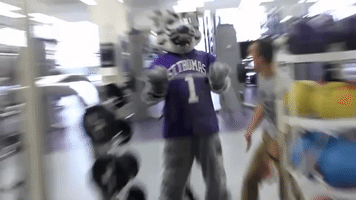 uofstthomasmn  GIF
