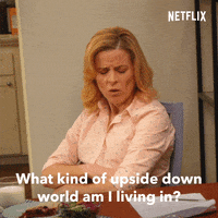 Lady Dynamite Is This A Season Two Of Stranger Things GIF by NETFLIX