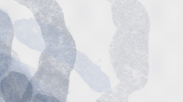 Bibliobernardino GIF