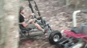 BDX  GIF