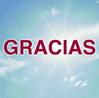 Gracias; Aeela; Irma; Huracan GIF by AEELA