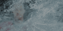 #Koelnerhaie #Del #Torschuetze GIF by Kölner Haie