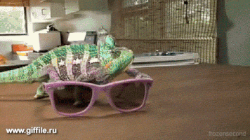 malzeme  GIF