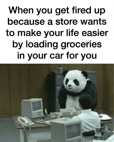 bcoffron panda lunchboxdad lunchbox dad GIF
