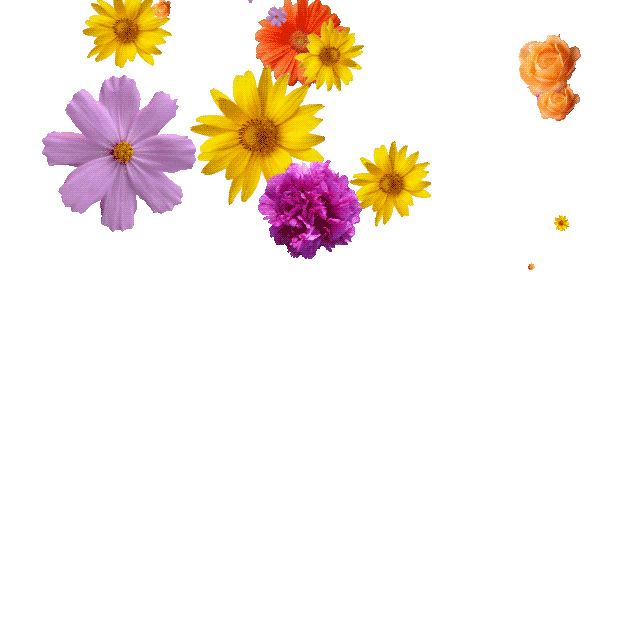 Flowers GIFs - Get the best GIF on GIPHY
