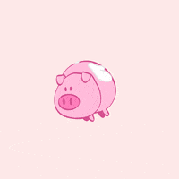 pig flying GIF by Coiso