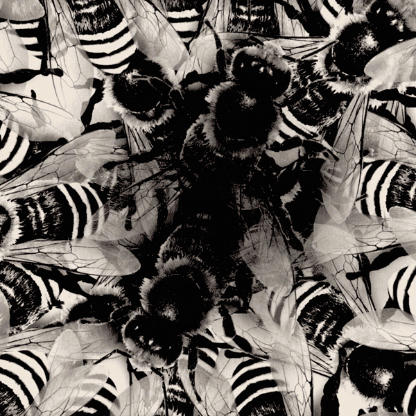 lacar animation motion season 7 american horror story GIF