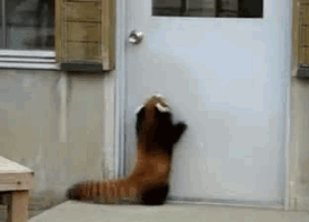 rita_celia  GIF