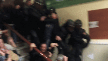 Zapata  GIF