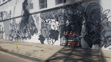 Socialbilitty art graffiti graffiti art metro purple line station GIF