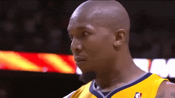 david west gs warriors GIF by NBA