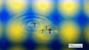 heligone  GIF
