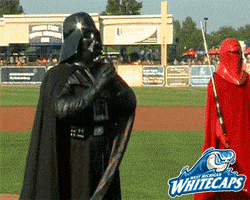 throwing star wars GIF by West Michigan Whitecaps 