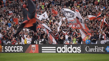 screaming eagles soccer GIF by D.C. United