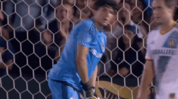 200.gif?cid=fc005b08fc5a08caf38db8b5e02835cc0e566ea35090919e&rid=200.gif&ct=g