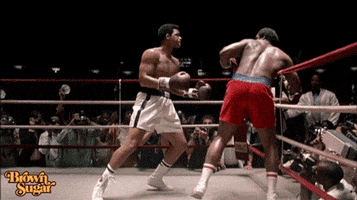 200.gif?cid=fc005b089c8f752ddb64ecd263cebca0e2b71209ce875734&rid=200.gif&ct=g