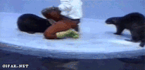 recepaltun  GIF