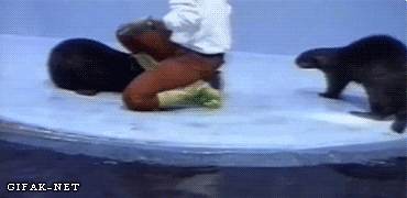 recepaltun  GIF