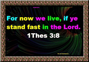 salvation  GIF