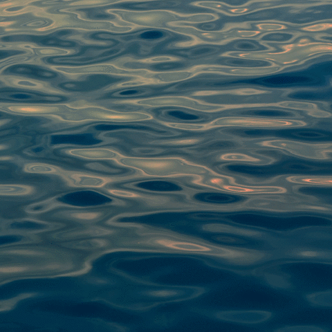 bwpublishing return of the courtesan GIF