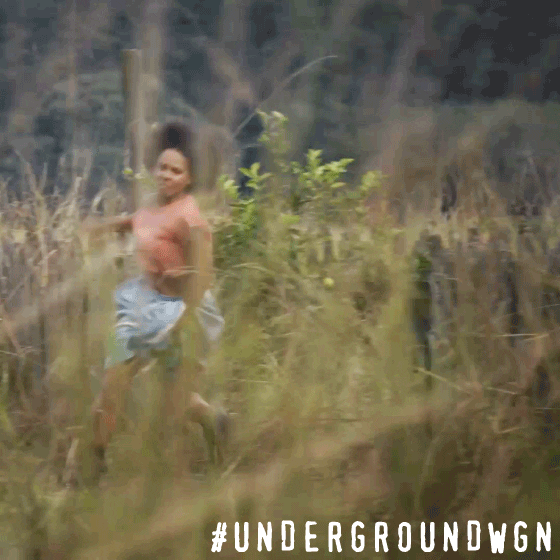 Wgn America Running GIF by Underground
