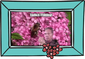 netzcoach  GIF