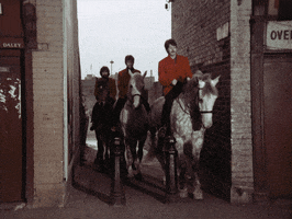 paul mccartney horse GIF by The Beatles