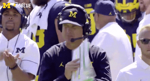 Giphy - Excited Michigan Football GIF by Michigan Athletics