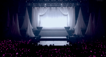 anar_ss snsd GIF
