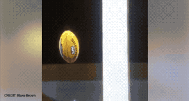 shannongrixti afl evolution GIF