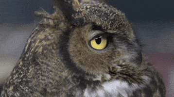 200.gif