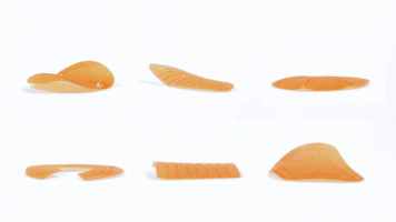 pasta noodles GIF by MIT 