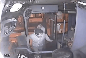 xinzor  GIF