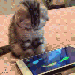 Yuriy  GIF