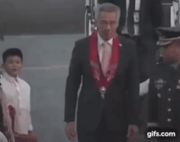 stevechia  GIF