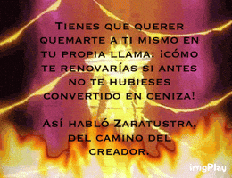 filiusnoctui saint seiya ikki nietzsche zaratustra GIF