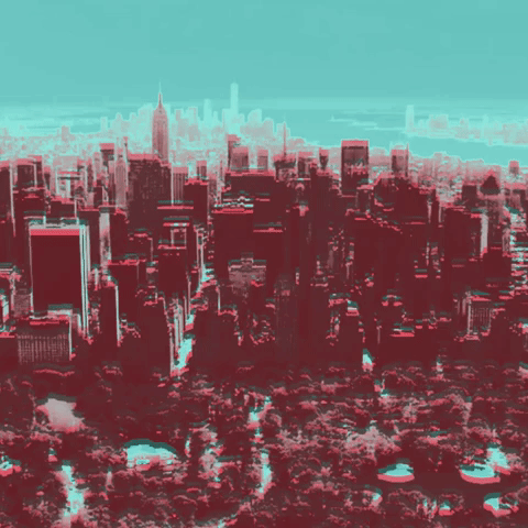 Curiously  GIF