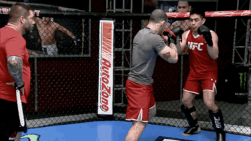the ultimate fighter episode 6 GIF