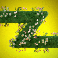 flowers z GIF by alessiodevecchi