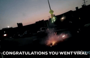 ctrexpope fireworks viral firework fail ksdjgksdj GIF
