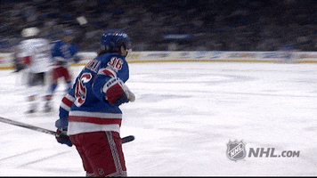 Stanley Cup Playoffs GIF by NHL