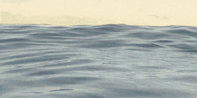 Remember Everything Enrico Chiarugi GIF by Social Machinery Film Festival